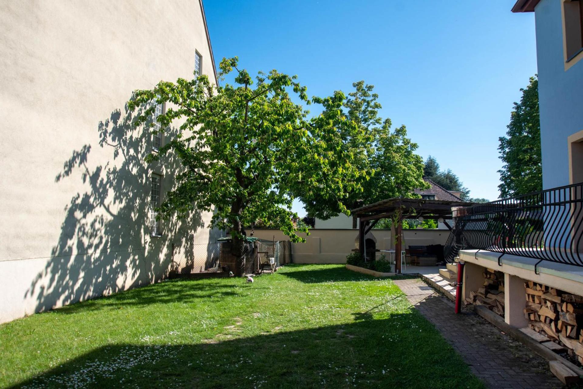 Studio 1 A 4 Pers, Proche Strasbourg, Europa-Park, Colmar Erstein Eksteriør bilde